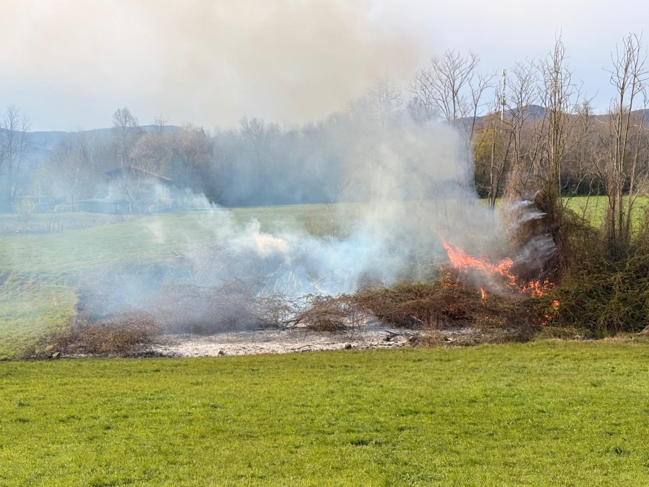 Intervento dei Vigili del fuoco per un incendio in un campo