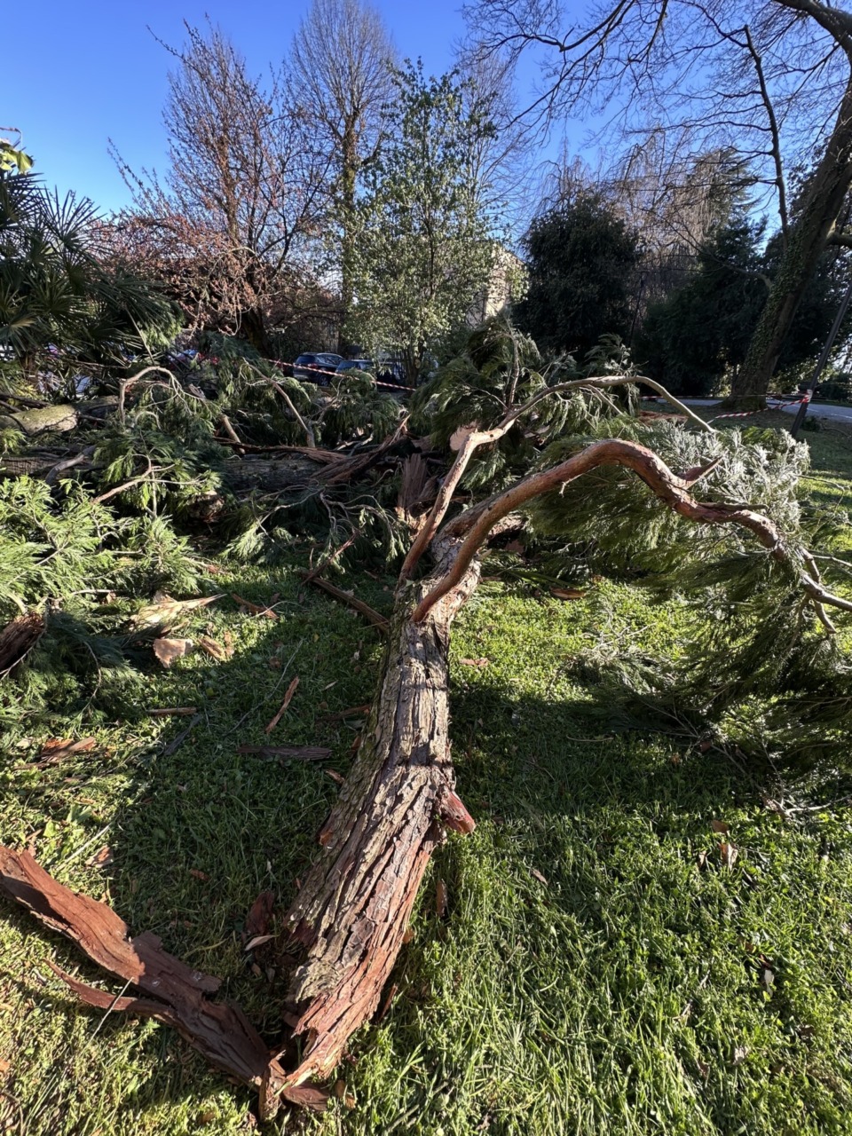Raffiche di vento in arrivo: danni e chiusure nei parchi