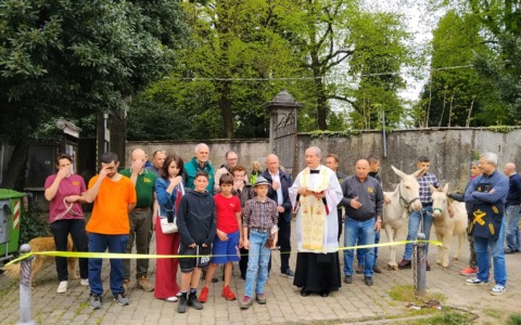 La tradizione trionfa alla “Mostra zootecnica” di Appiano Gentile