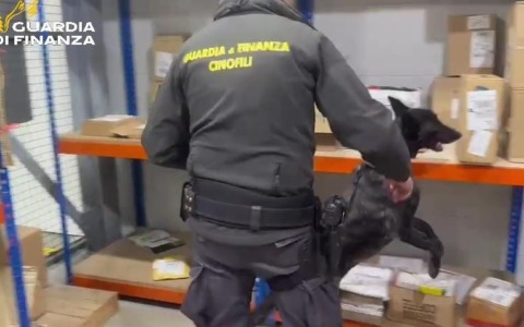 Sequestrato un chilogrammo di hashish dalla Guardia di finanza
