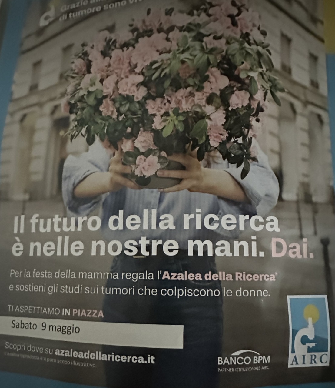 L’azalea della ricerca per combattere i tumori