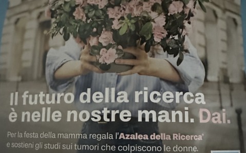 L’azalea della ricerca per combattere i tumori